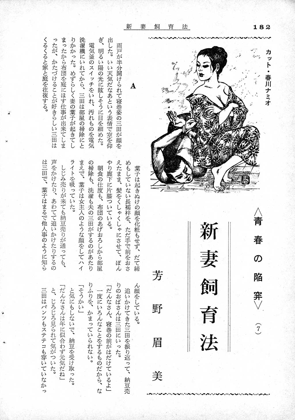 179.jpg