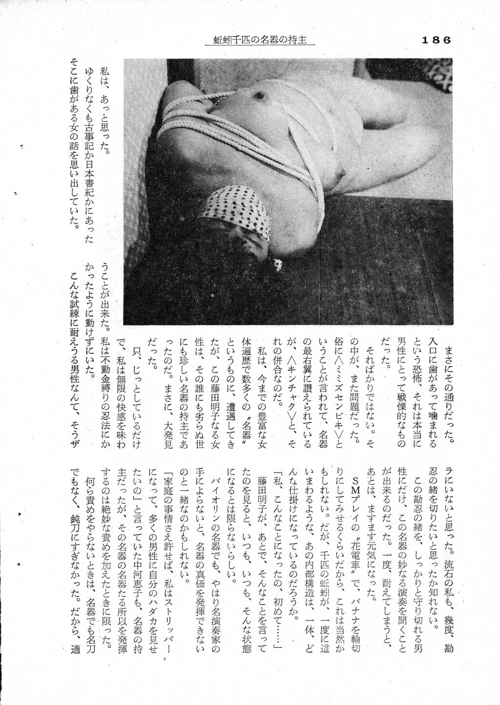 184.jpg