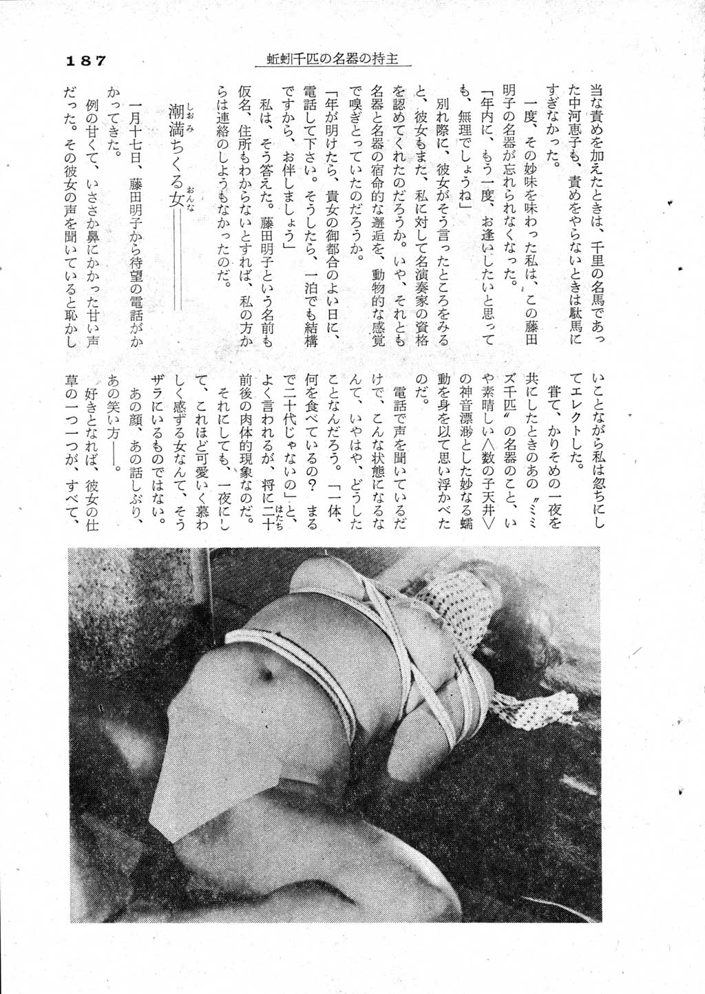 185.jpg