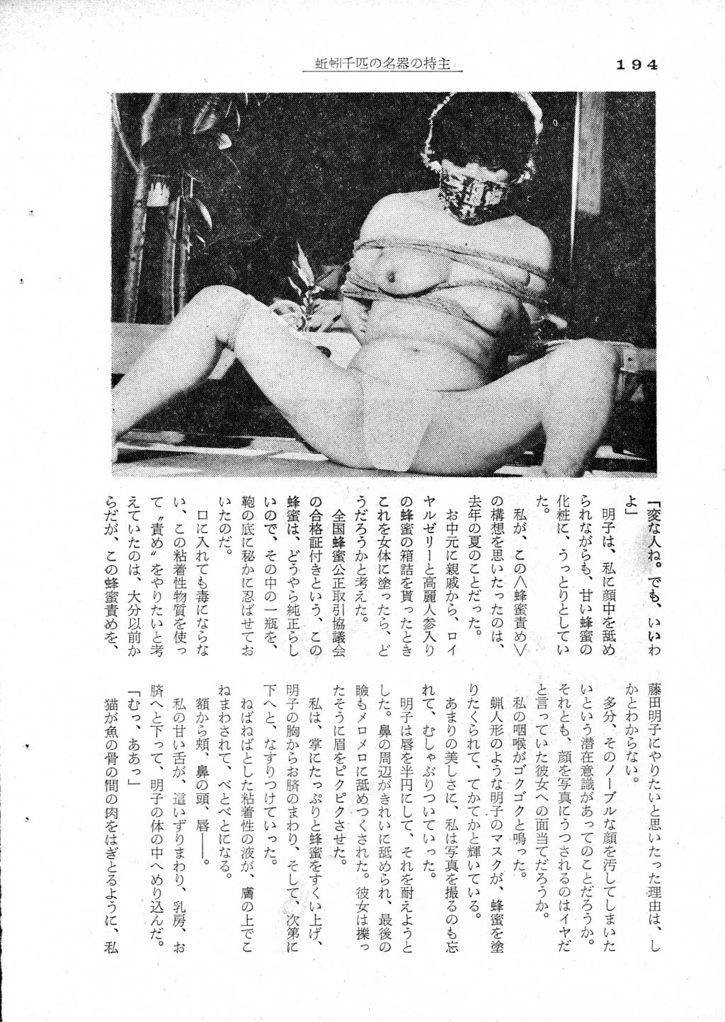 192.jpg