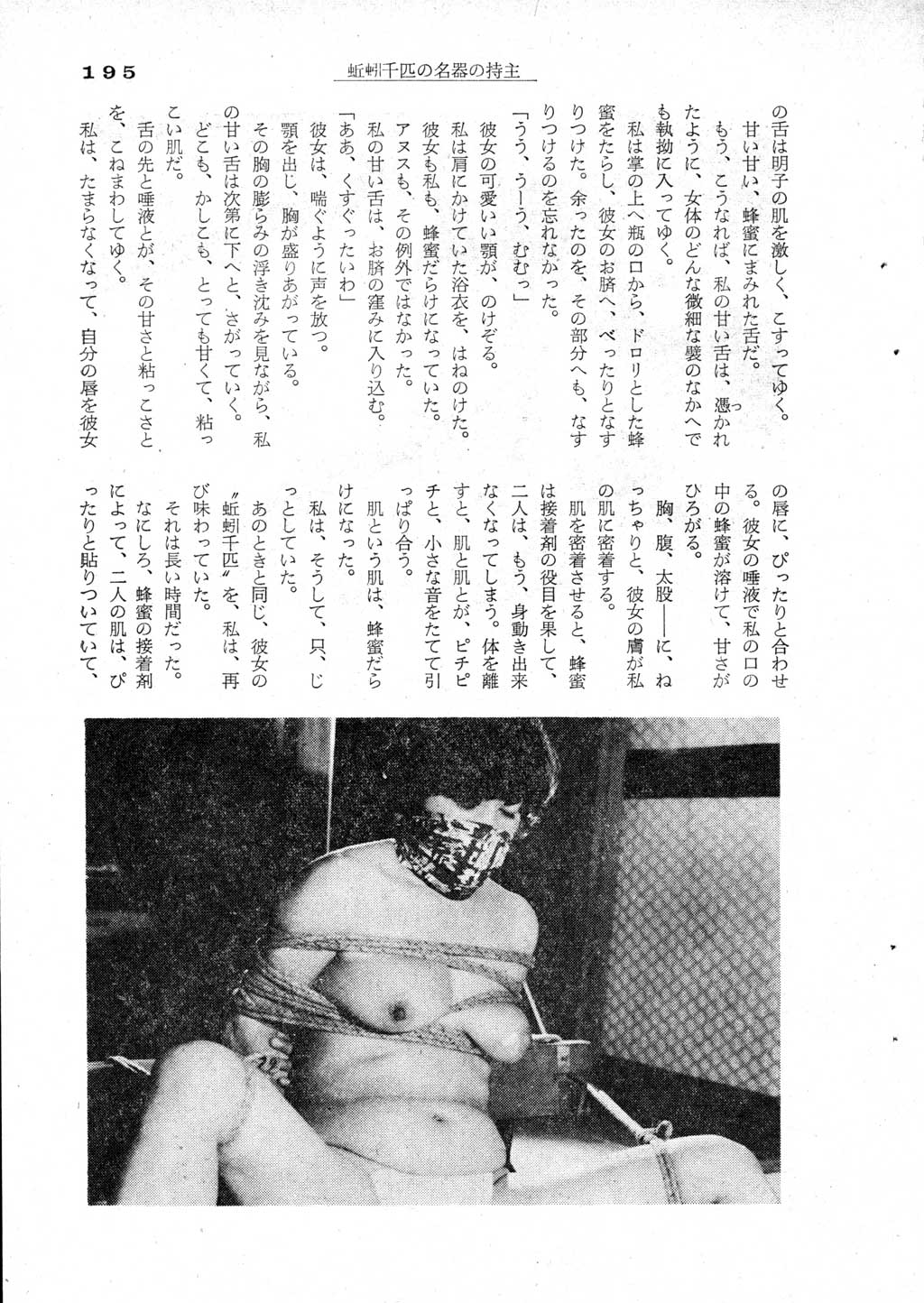 193.jpg