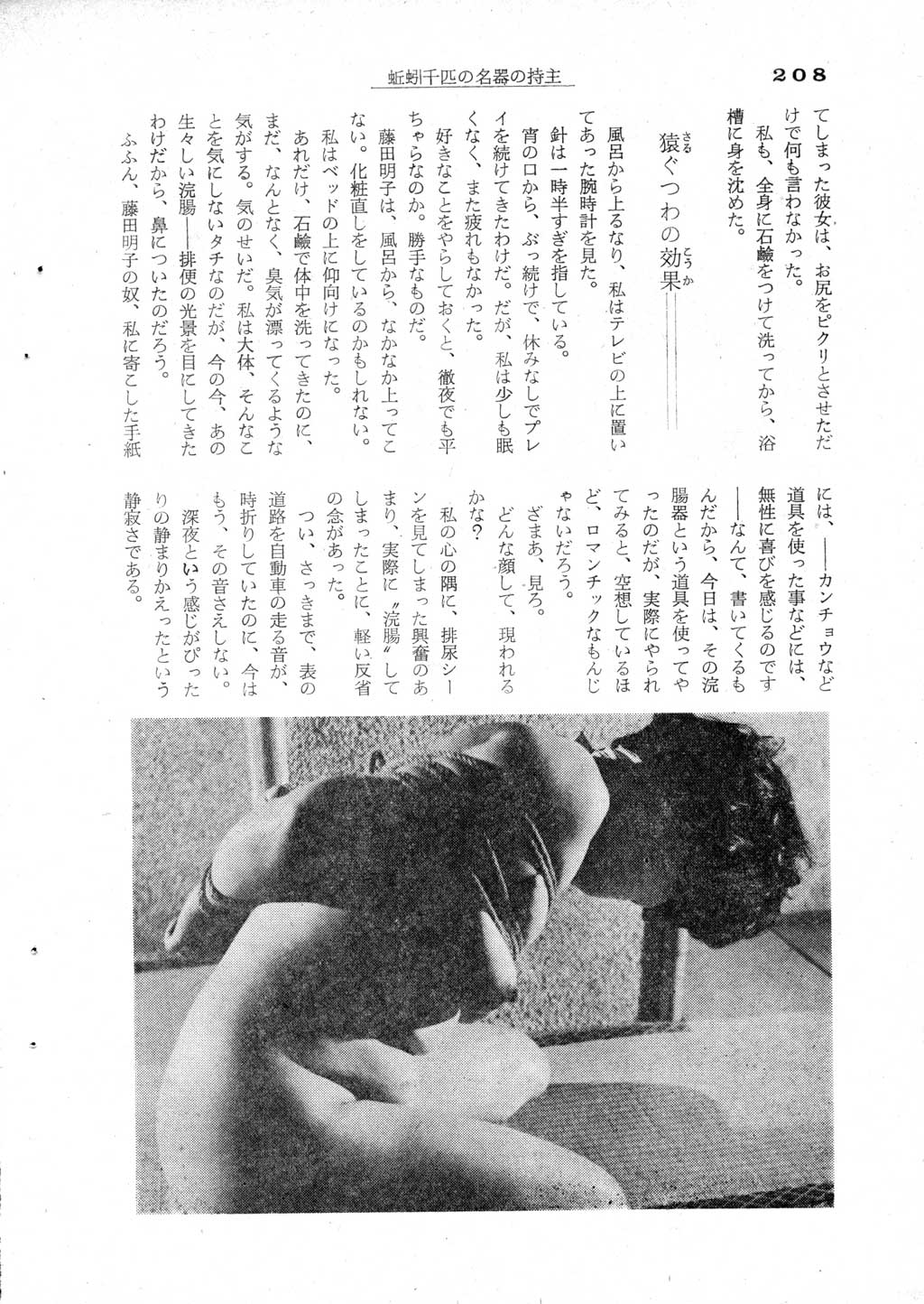 206.jpg