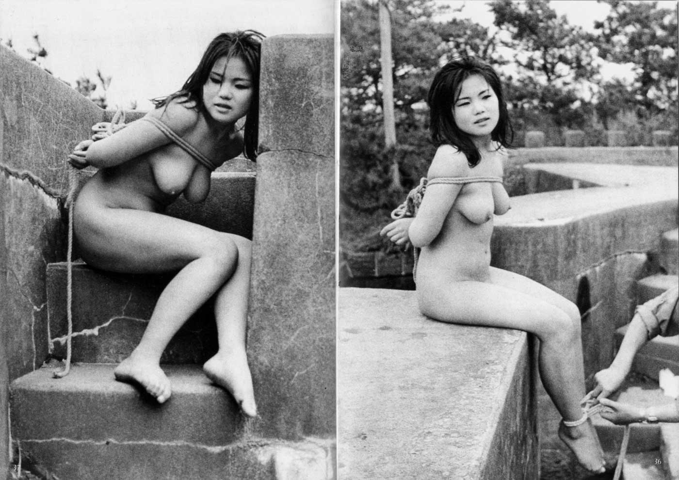 031.jpg