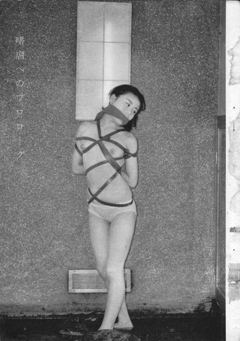 005.jpg