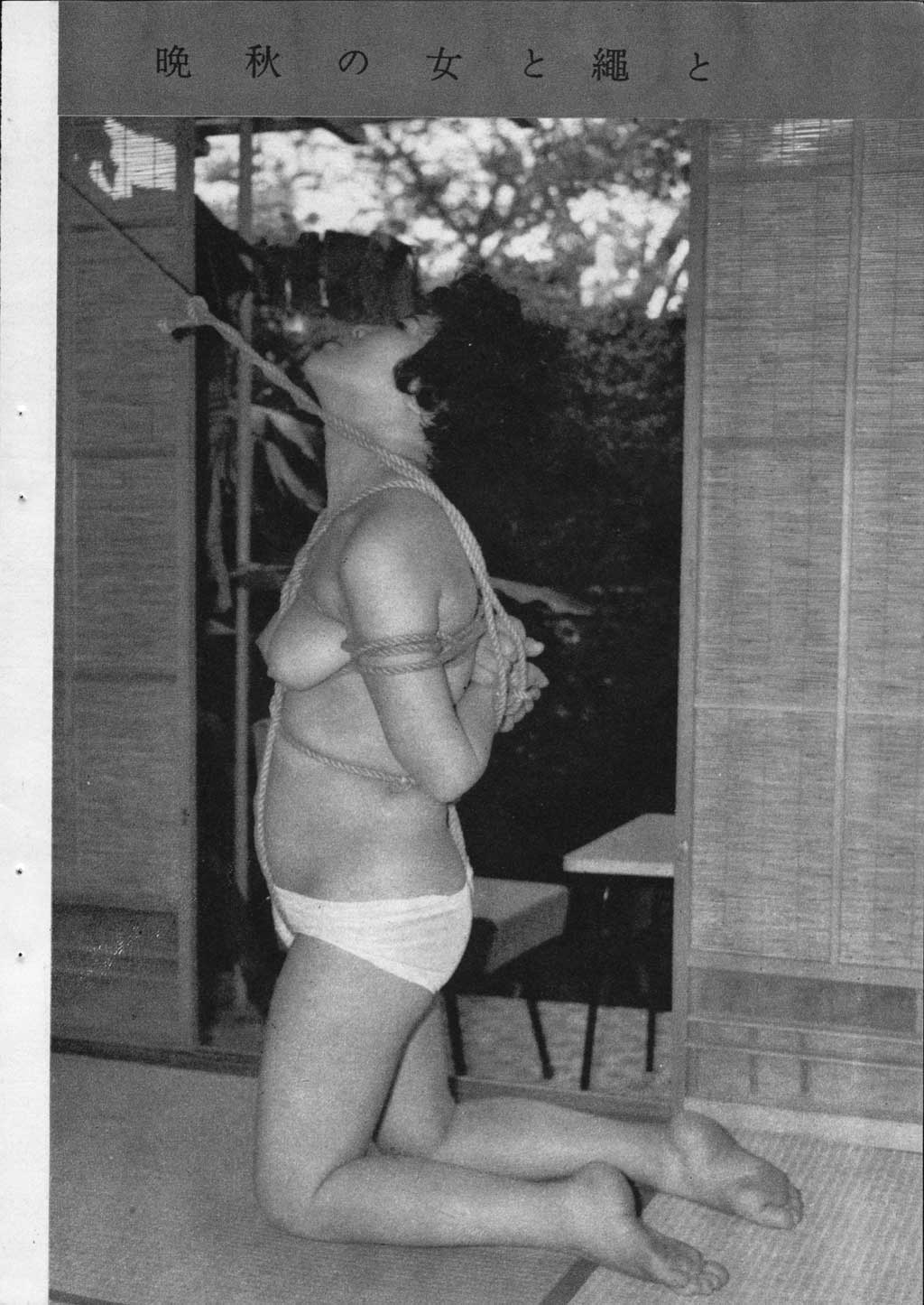 028.jpg