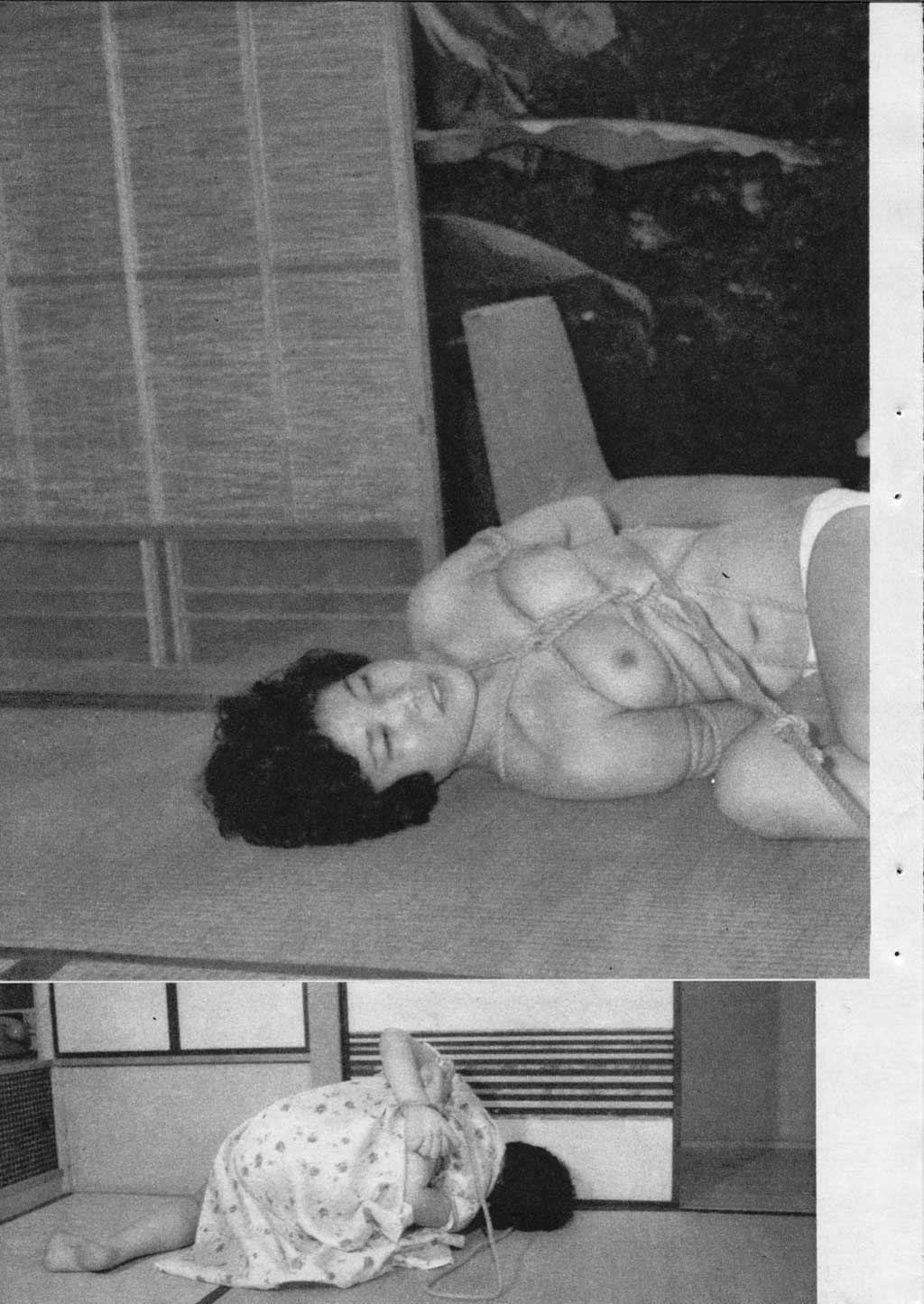 031.jpg