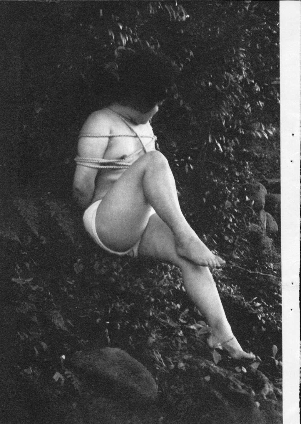071.jpg