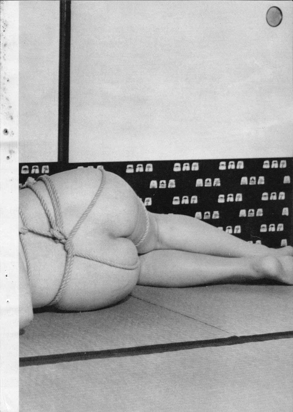 080.jpg