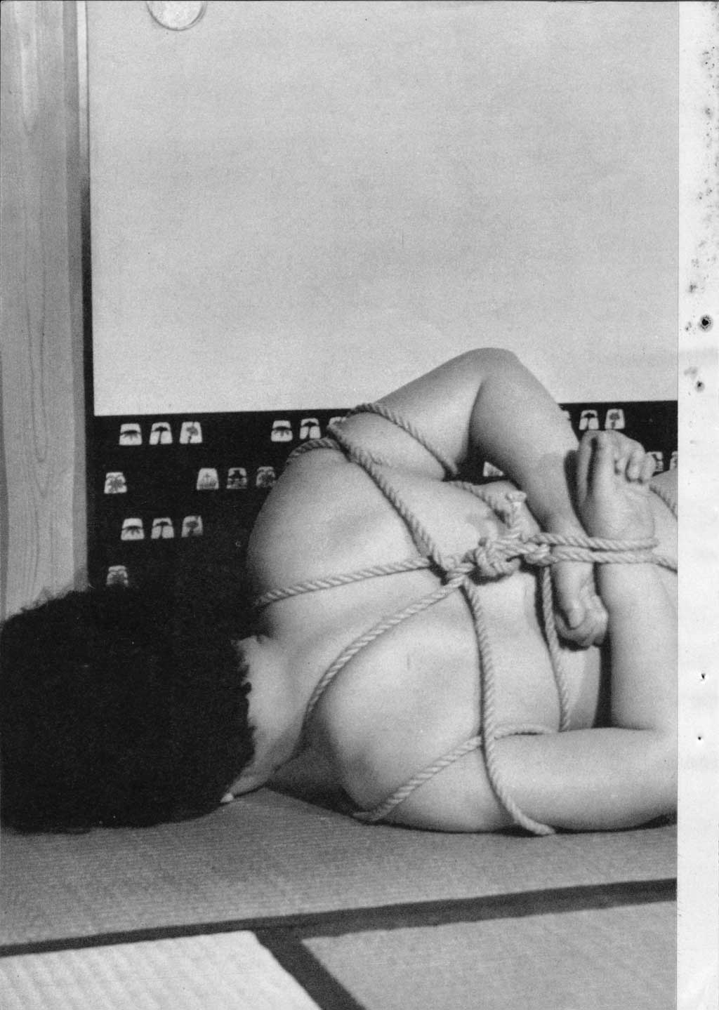 081.jpg