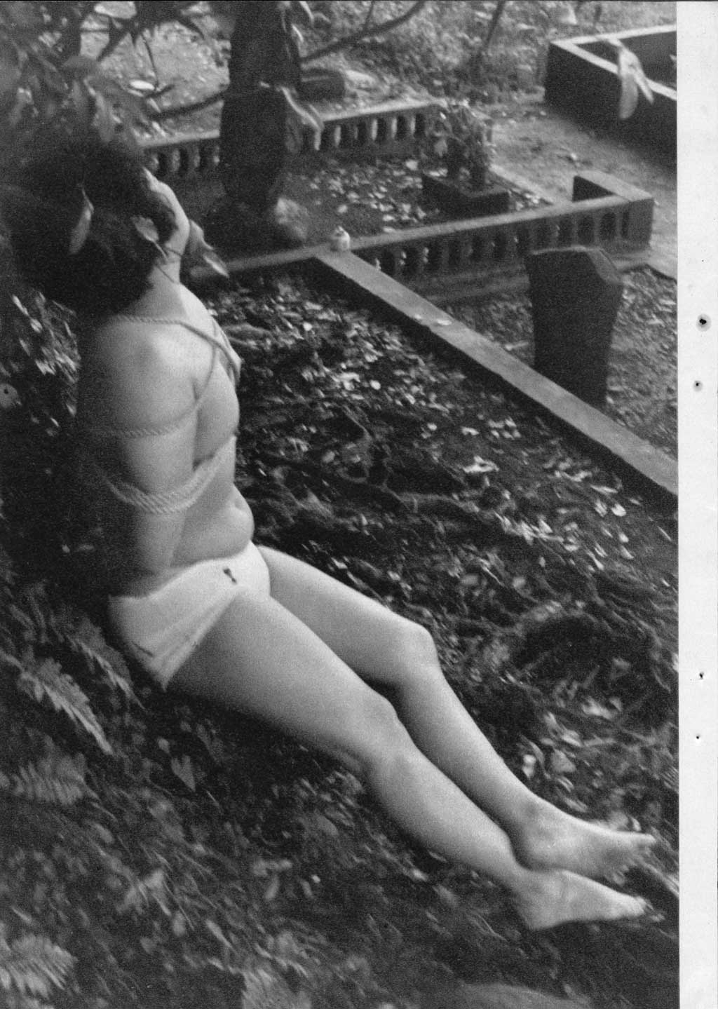 083.jpg