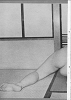 103_thumb.png