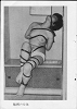 149_thumb.png