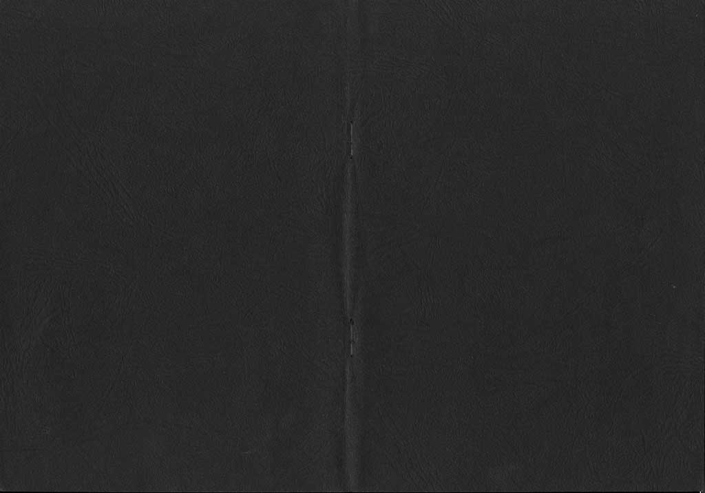ochiai01_001.jpg