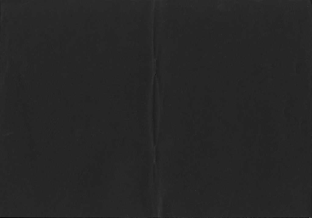 ochiai01_002.jpg