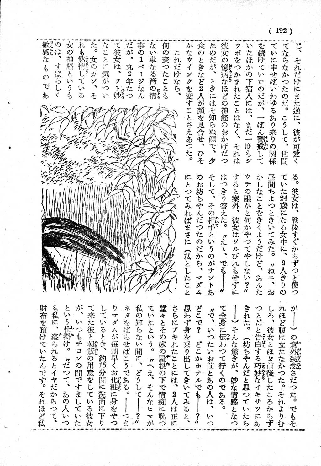 183.jpg