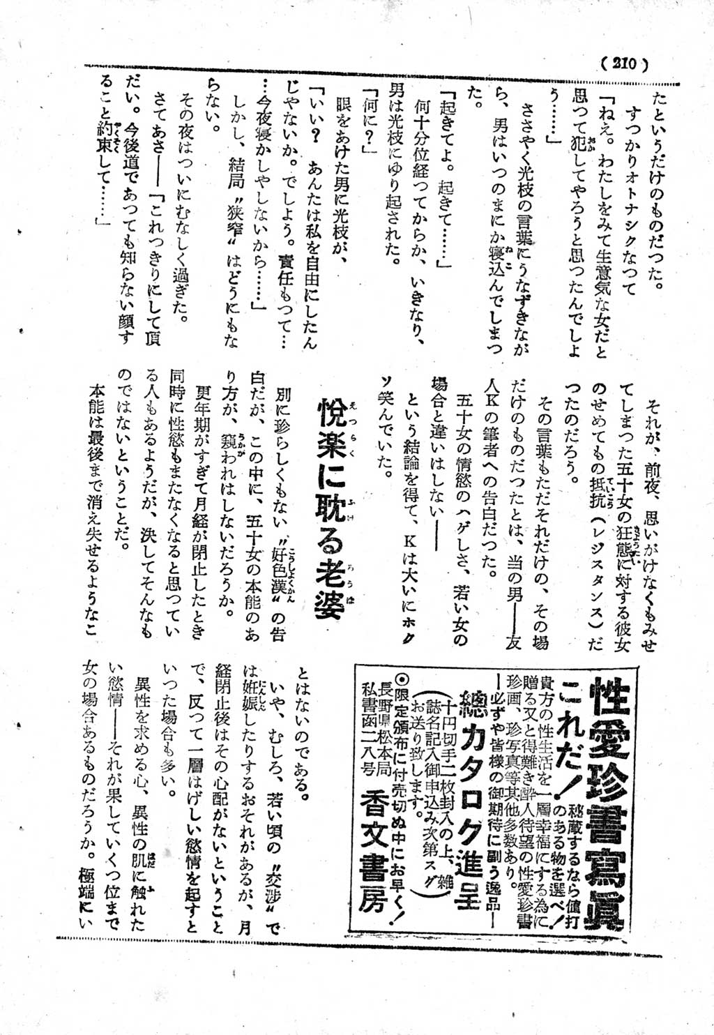 201.jpg