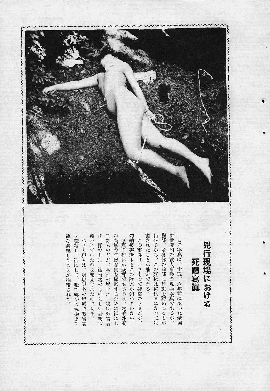 071.jpg
