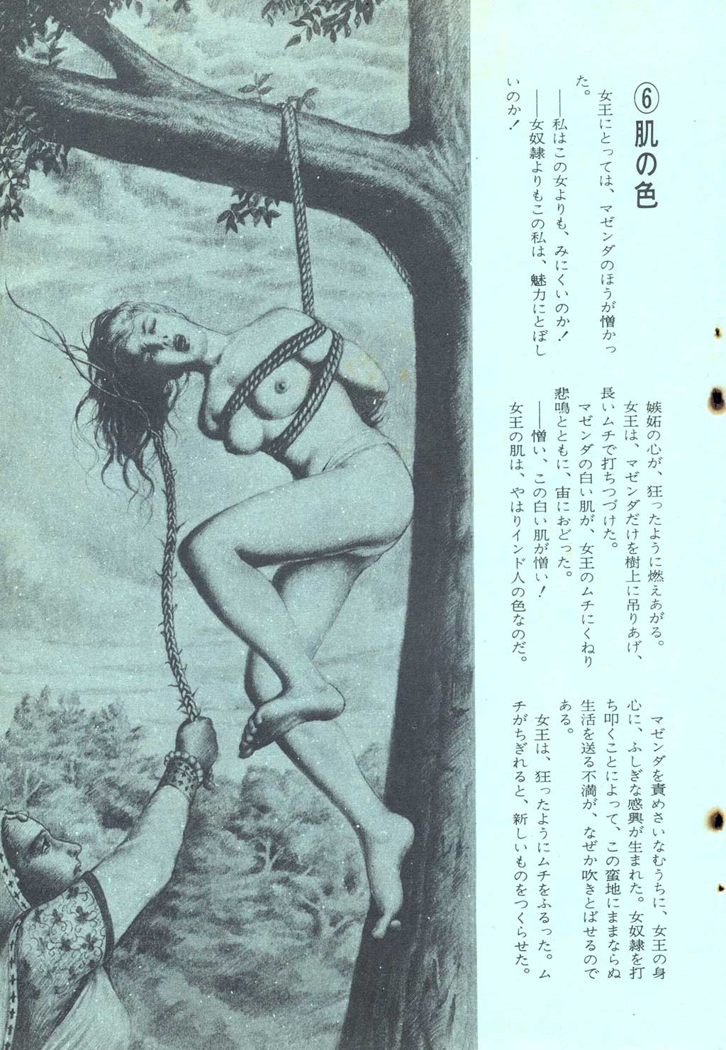 105.jpg