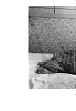 216_thumb.png