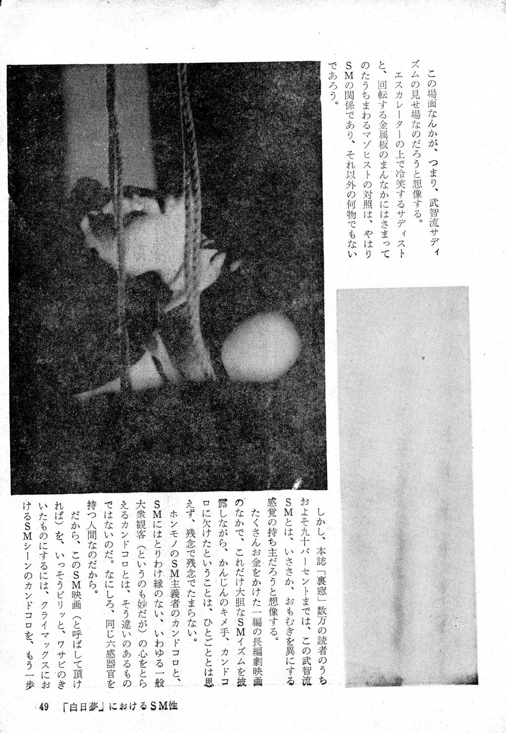 045.jpg