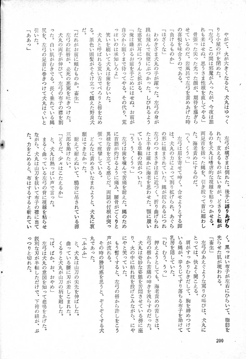 197.jpg
